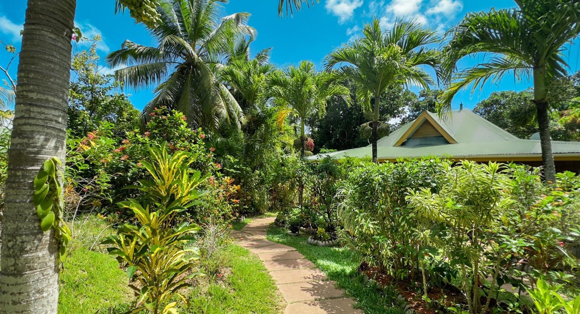 Cocotier Du Rocher La Digue Luaran gambar