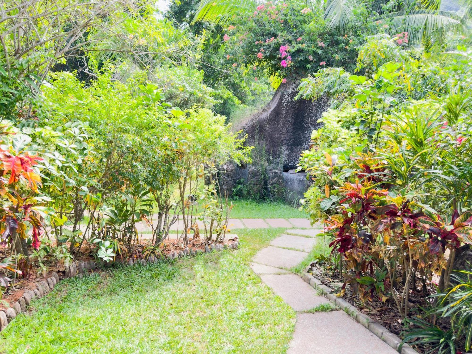 Cocotier Du Rocher La Digue Luaran gambar